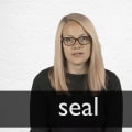 The Importance of Proper Sealing: A Seal Expert's Perspective