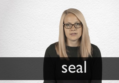 The Importance of Proper Sealing: A Seal Expert's Perspective